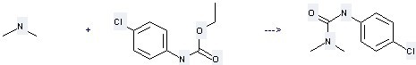 Carbamic acid,N-(4-chlorophenyl)-,ethyl ester can be used to produce N'-(4-Chloro-phenyl)-N,N-dimethyl-urea.